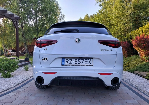 Alfa Romeo Stelvio cena 189000 przebieg: 11000, rok produkcji 2023 z Rzeszów małe 667